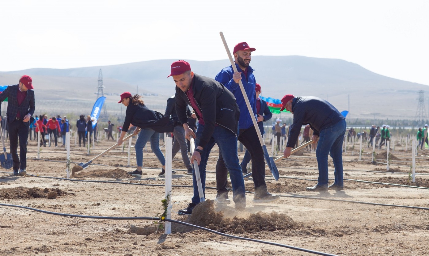 "Kapital Bank" əməkdaşları ağacəkmə aksiyasında iştirak etdi